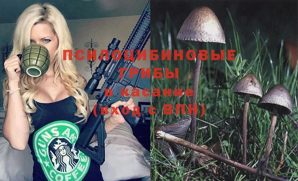 трава Алзамай