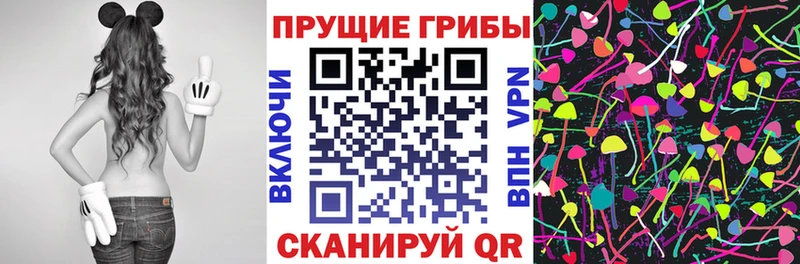 blacksprut ССЫЛКА Поронайск Псилоцибиновые грибы Cubensis